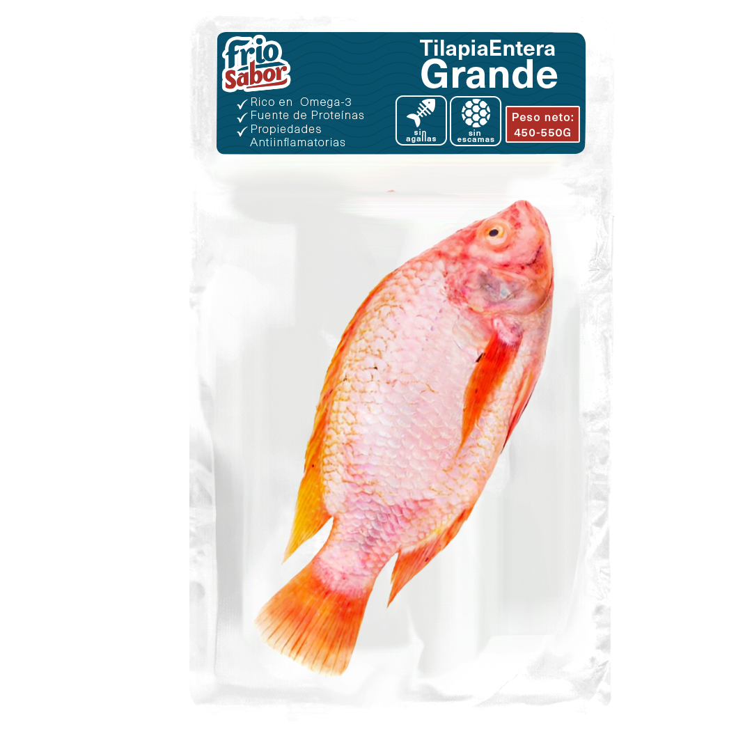 Tilapia Roja Grande 550 S/E