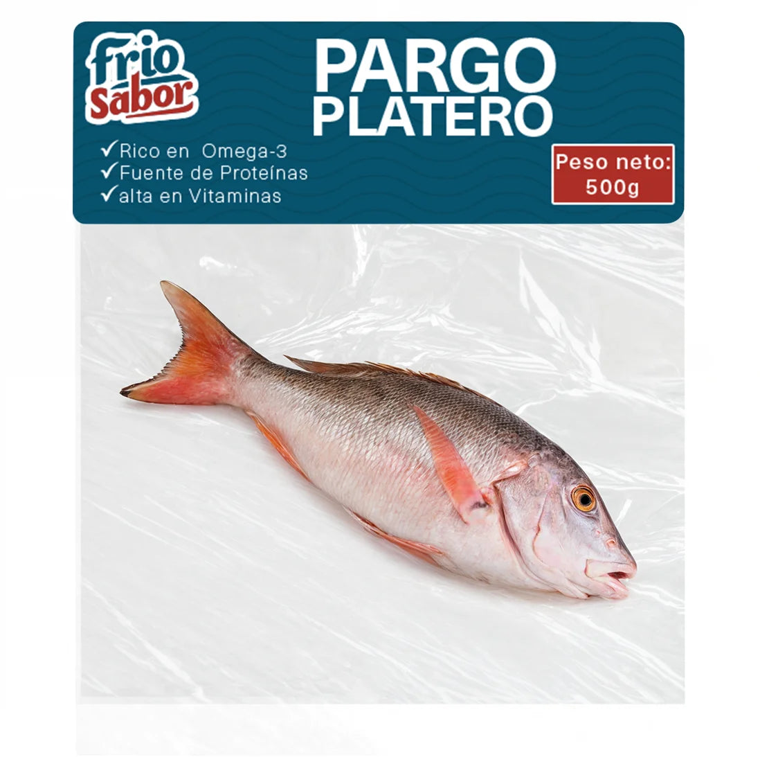 Pargo Platero Manglar