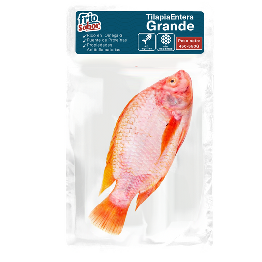 Tilapia Roja Grande 550 S/E