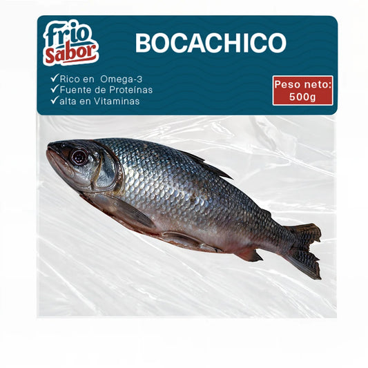 Bocachico