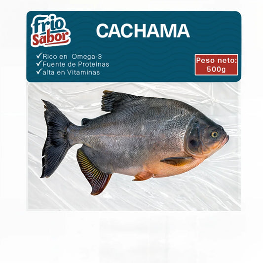 Cachama